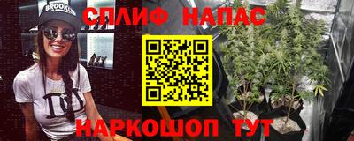 гашик Нягань