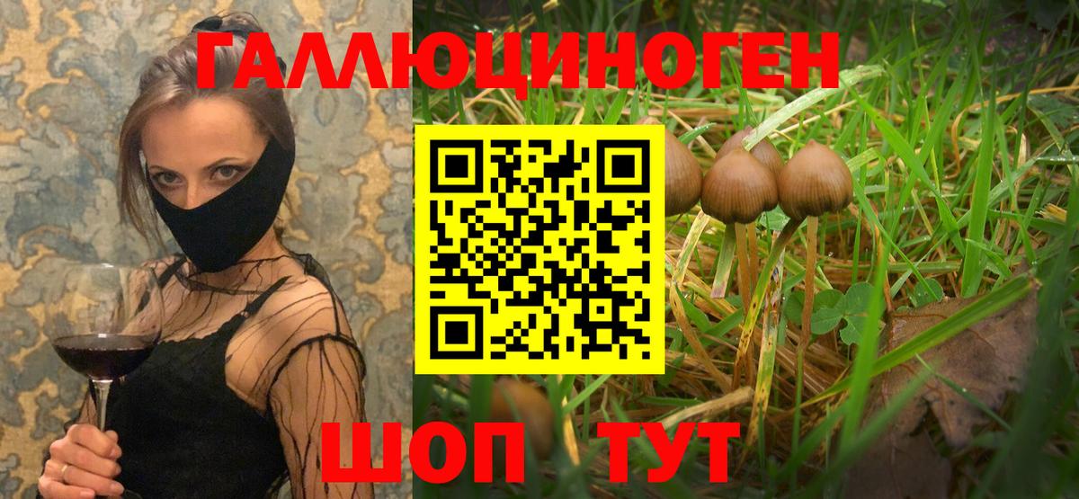Псилоцибиновые грибы прущие грибы  Вход с VPN  Северск 